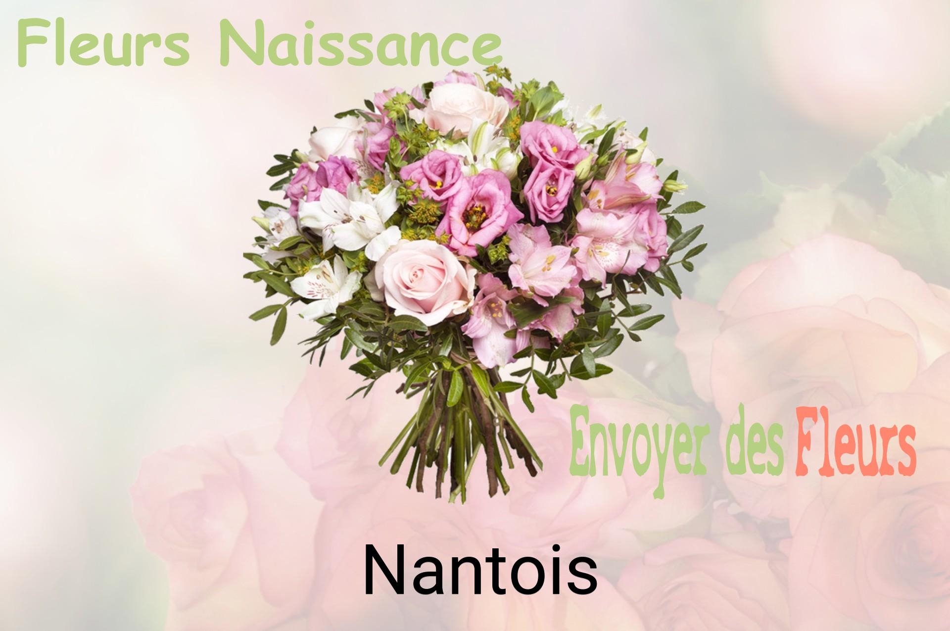 Bouquet de fleurs de naissance livré à Nantois