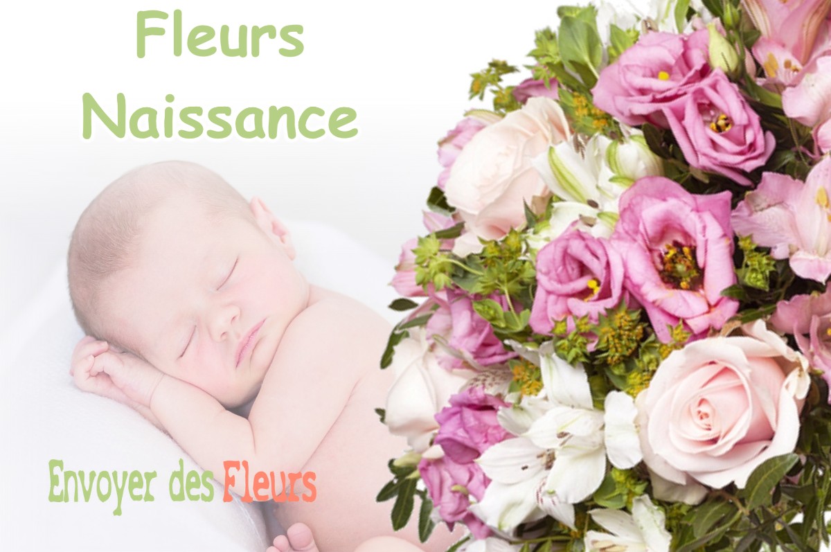 lIVRAISON FLEURS NAISSANCE à NANTOIS